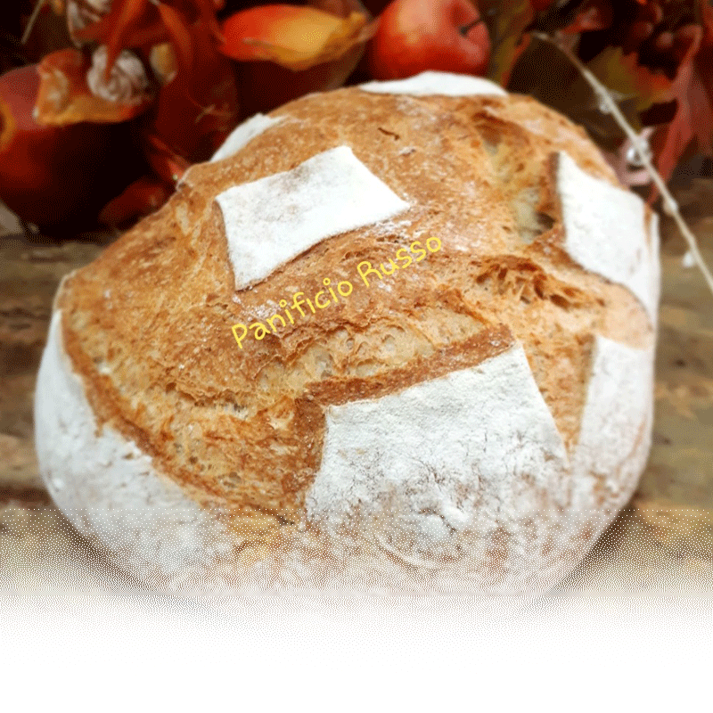 Pane Antico Panificio Russo Acerra (NA)